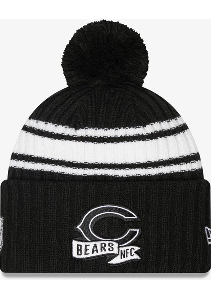 Chicago Bears 60281352.-