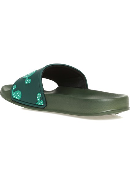 Haki Erkek Terlik Cactus fiyatları