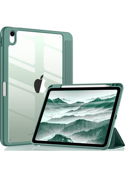 Apple iPad Air 11inç 2024 Air 4/5/6.Nesil 10.9 Kılıf Grafiti Şeffaf Kalem Bölmeli (10.Nesil Değildir)
