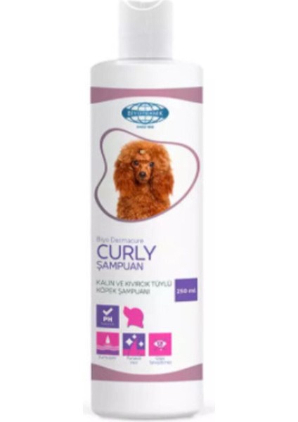 Dermacure Curly Köpek Şampuanı 250 ml