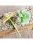 Ev Bahçesi Minyatür Succulents Bitki 3 Pc (Yurt Dışından) 4