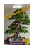 Ardıçlı Bonsai Çiçeği Tohumu 1