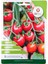 Domates (Cherry) Tohumu Paket 1