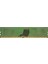 4gb 2666MHZ Ddr4 Pc Ram (M378A5244CB0-CTD) 1