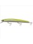 Japanese Minnow 3D Hg 2552 - 13GR - 11CM 1