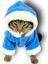 Blue Furry Kapşonlu Sweatshirt Ceket Kedi Süeteri Kıyafeti 1