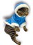 Blue Furry Kapşonlu Sweatshirt Ceket Kedi Süeteri Kıyafeti 2