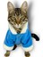 Blue Furry Kapşonlu Sweatshirt Ceket Kedi Süeteri Kıyafeti 3