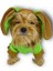 Froggy Kulaklı Köpek Tulumu Kıyafeti 1