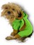 Froggy Kulaklı Köpek Tulumu Kıyafeti 3