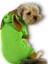 Froggy Kulaklı Köpek Tulumu Kıyafeti 4