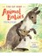 Find Out About Animal Babies 1