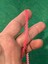 7 mm Fosforlu Pembe Şerit Pul Payet Dikiş Çanta Aksesuar 81 Metre) 1