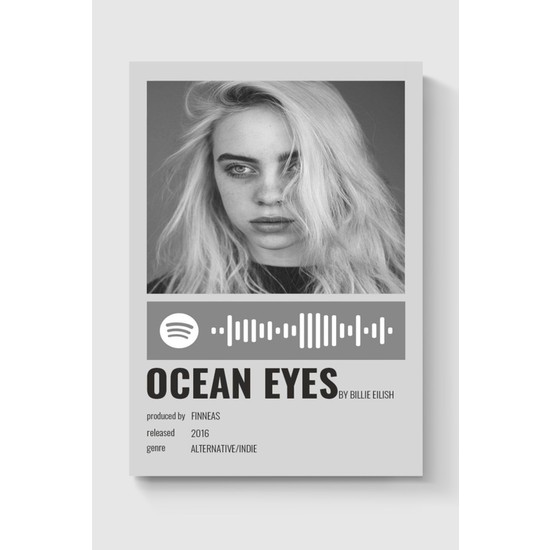 Billie Eilish Albüm Şarkı Spotify Kod Code Info Card Bilgi Fiyatı