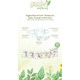 Giggles Natural 4 Numara Maxi 1 Paket 30 Adet