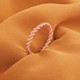  Renk Rose
