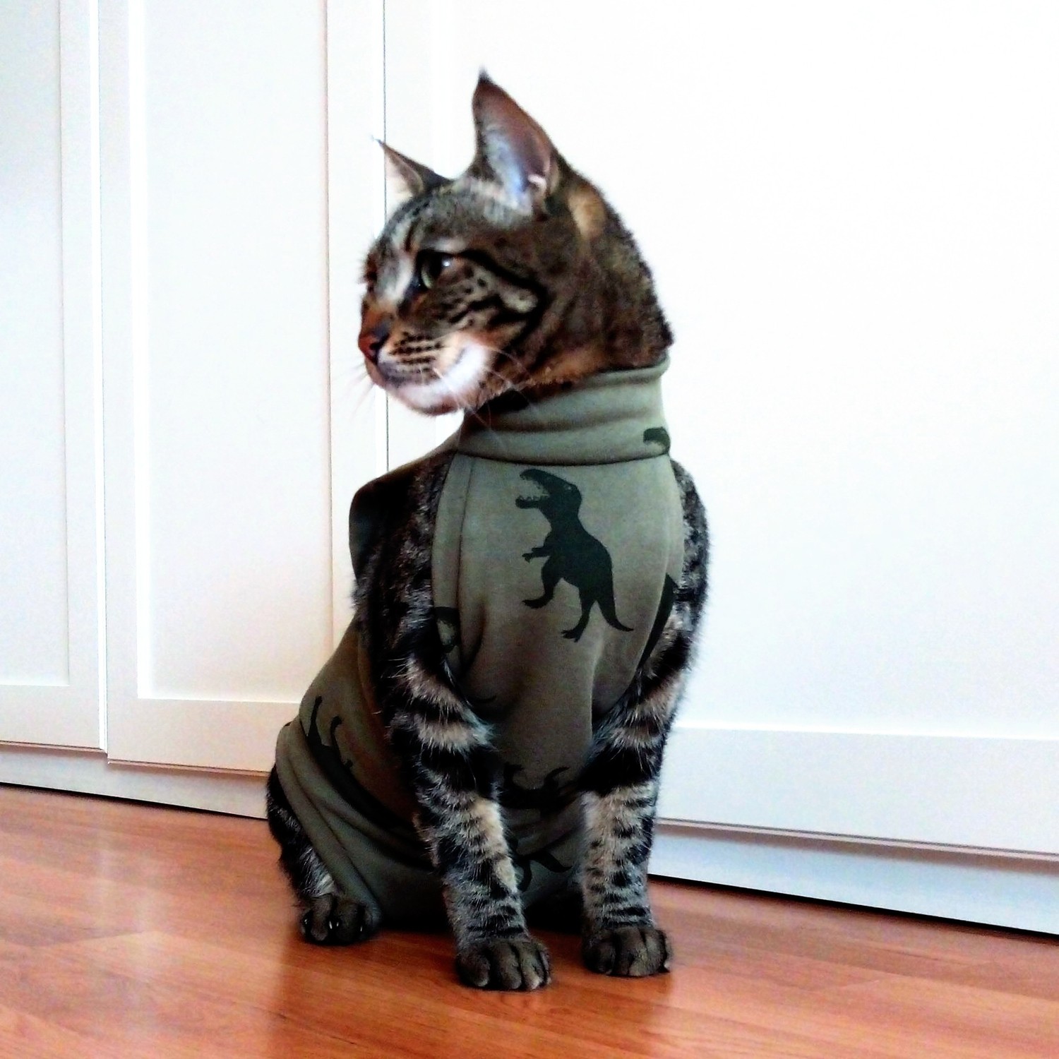 Stylie Kedi Ameliyat Sonrası Giysisi Yeşil Dinazorlu Fiyatı