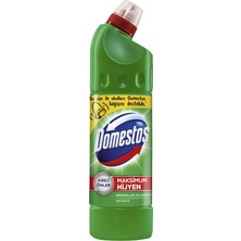 Domestos Ultra Kıvamlı Çamaşır Suyu Dağ Esintisi 810 gr