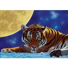 Art Puzzle Ay Kaplanı 500 Parça Unisex Çocuk Puzzle