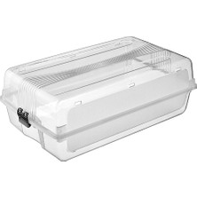 Elif Plastik S-Box Kadın Ayakkabı Kutusu