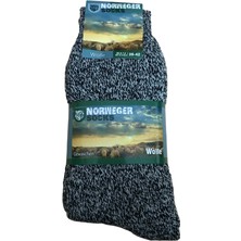 Norweger Socks 3 Lü Outdoor Çorap (6038)