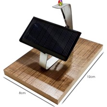 Elektrogun Öğrenci Deney Seti Solar Panel