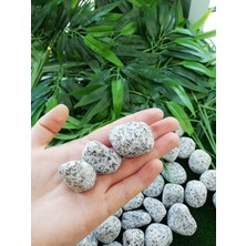 Bio Aquatic Ekodoğa Siyah Beyaz Çizgili Granit Taşı 1 kg 2,5 - 4 cm Süs taşı Dekoratif Taşlar Bahçe Taşları Dolomit Taşı