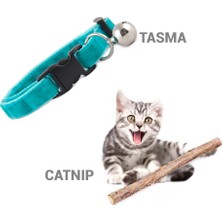 Reflex Kitten Stick Hindili Yavru Kedi Ödülü 9 Adet x 9 gr ve Catnip-Tasma