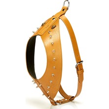 Doggie Konforlu El Yapımı Gladyatör Model Köpek Göğüs Tasması