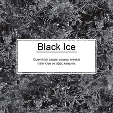 İnterwax Little Trees 3'lü Set Black Ice - Bubble Gum - Midnight Chic Asma Oto Kokusu