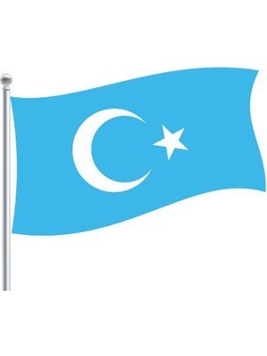 Doruk Doğu Türkistan Bayrağı 70 x 105 cm Raşhel Kumaş Dijital Baskı Çift Dikişli