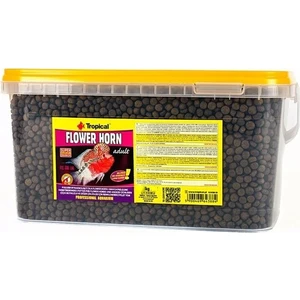 Flower Horn Adult 3lt 1140 gr