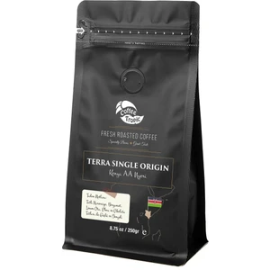 Terra Single Origin Kenya Aa-Nyeri 250 gr