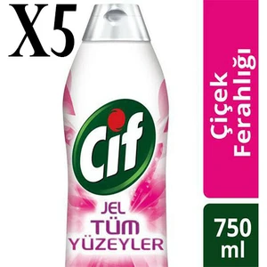 Tüm Yüzeyler Çiçek Ferhlığı 750 ml x 5 Adet