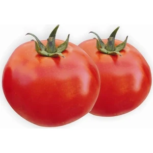 Ege Tarım Domates Tohumu 30'lu