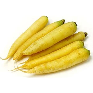 Serdar Çam Tohumculuk Nadir Sarı Havuç Tohumu 10 Adet Tohum