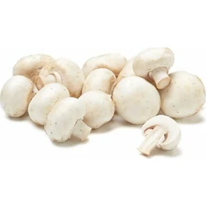 Serdar Çam Tohumculuk Mantar Tohumu Kültür Mantarı Tohumu Süper Paket 500 Adet