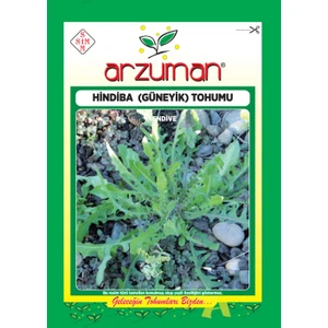 Yalova Fidan Market Hindiba Güneyik Tohumu