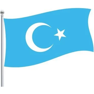Doruk Doğu Türkistan Bayrağı 70 x 105 cm