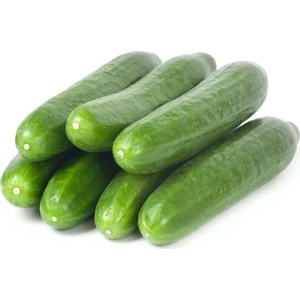 Serdar Çam Tohumculuk Meşhur Çengelköy Salatalık Tohumu Süper Paket 500 Tohum