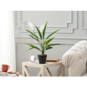 Madame Coco Broche Saksılı Çiçek - Yeşil