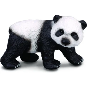 Yavru Panda