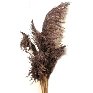 Kuru Çiçek Pampas Otu 10'lu Demet Kahverengi 100 cm