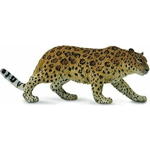 Amur Parsı