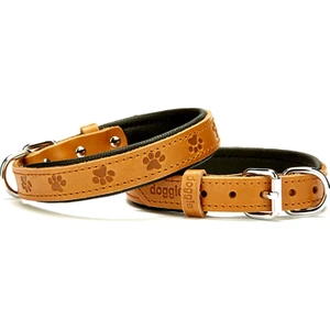 Konforlu El Yapımı Pati Desenli Köpek Boyun Tasması