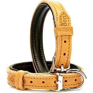 El Yapımı Köpek Boyun Tasması