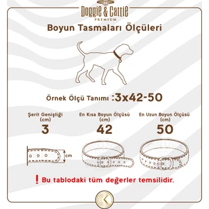 Eğitim Serisi Boğma Zincirli Köpek Boyun Tasması