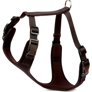 Hava Alan Dokumadan El Yapımı Köpek Göğüs Tasması