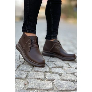 Kahverngi Erkek Bot 0012657