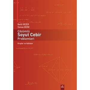 Çözümlü Soyut Cebir Problemleri - Betül Gezer